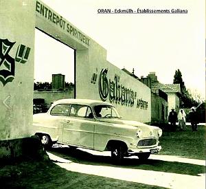 Oran- SDV- 6742-GALIANA